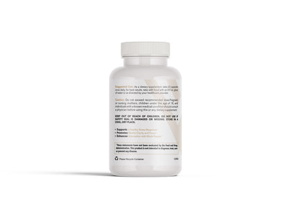 B-Complex+ — Advanced B-Vitamin Blend with Vitamin C, Choline & Inositol | Energy, Focus & Stress Support